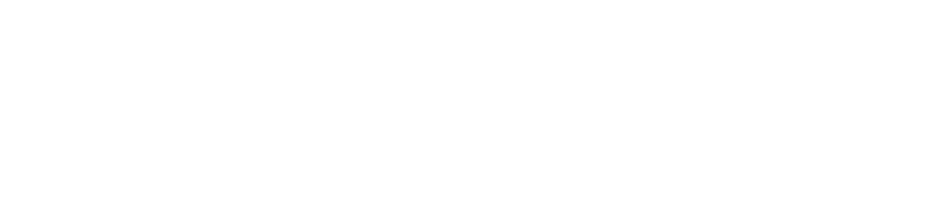 Logo Solene System